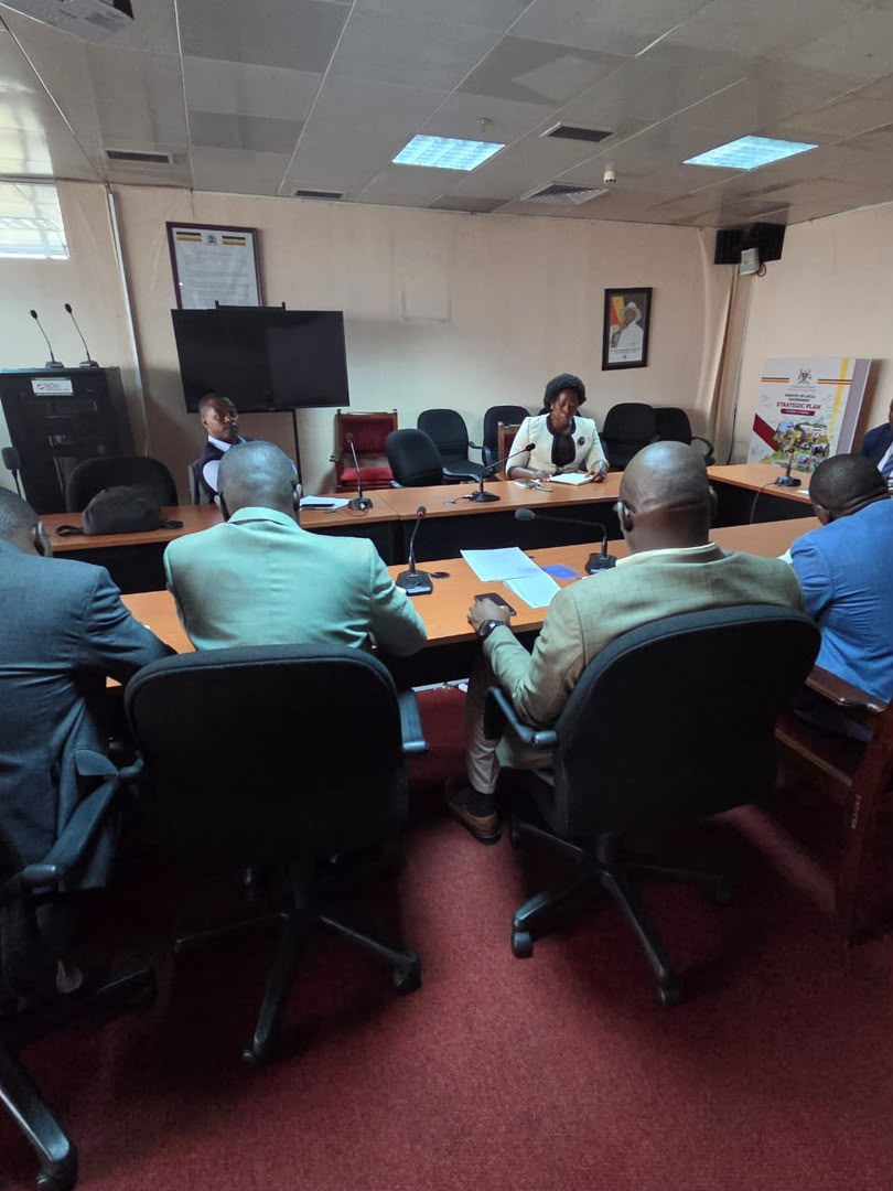 MoLG and DataCities Consortium Review Progress on Urban Data Governance